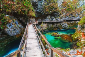 Famous and beloved Vintgar Gorge canyon with wooden path in beautiful autumn colors near Bled Lake of Triglav National Park