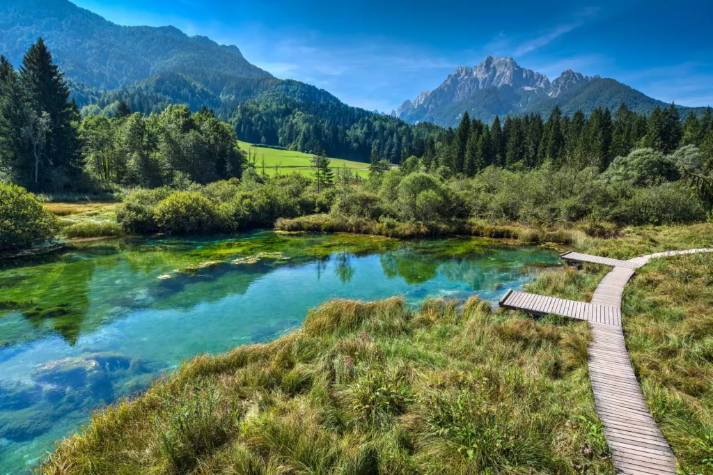 The well of river Sava in Julian Alps
