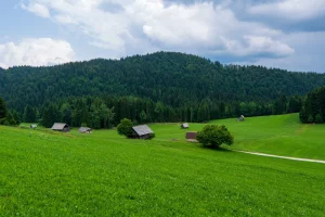 Typical landscape with wooden log cabins near Bohinjska Bistrica