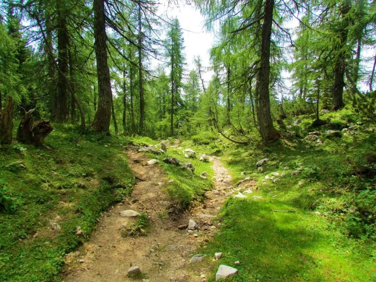 hiking trails slovenia scaled 2