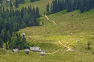 The mountain pasture of Konjščica